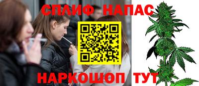 стафф Будённовск