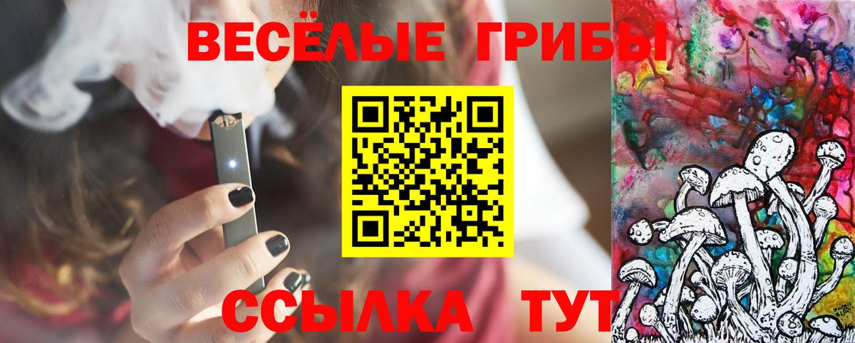 Галлюциногенные грибы GOLDEN TEACHER Маркс